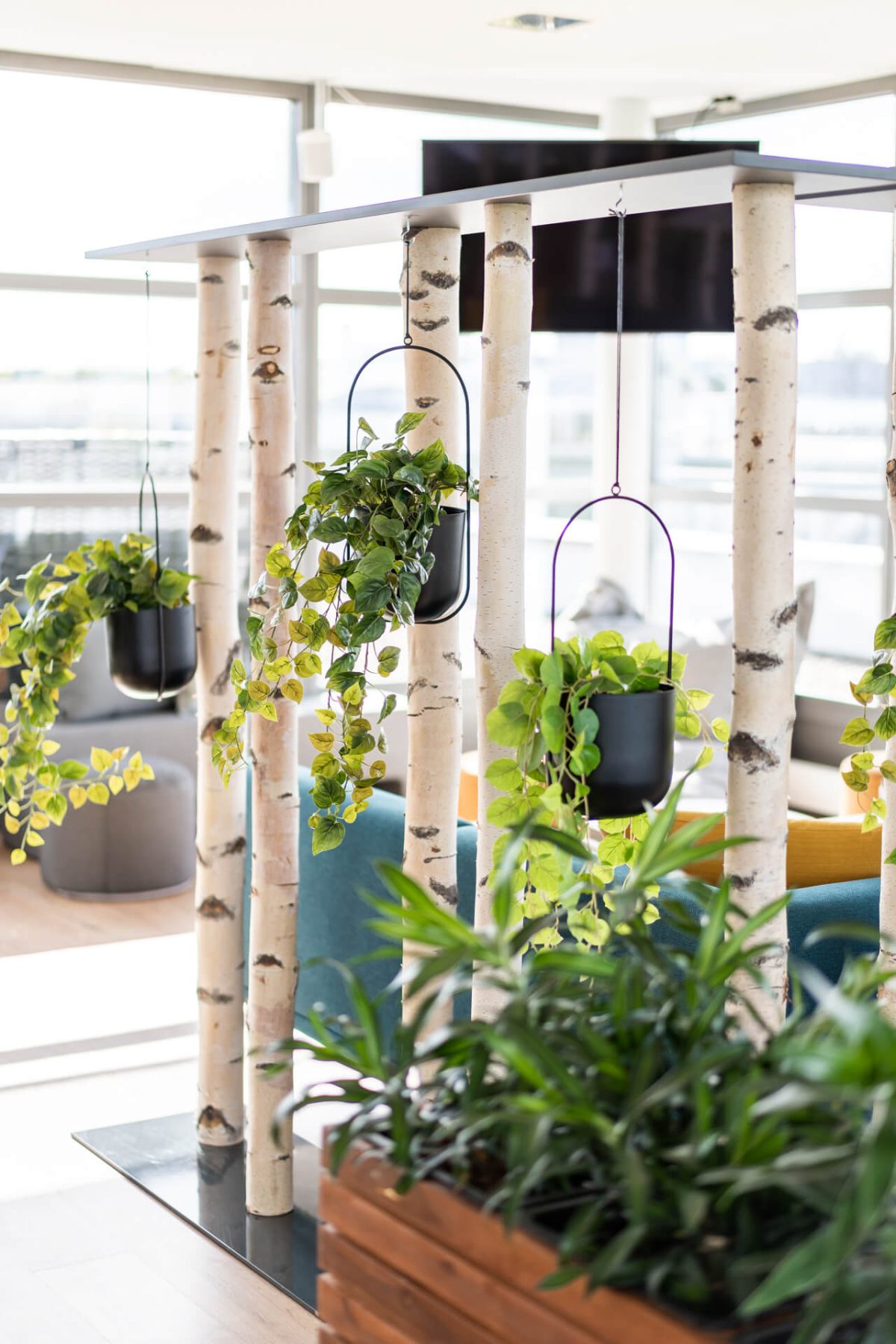 Raumteiler mit Pflanzen bringen eine natürliche Atmosphäre in die Umgebung