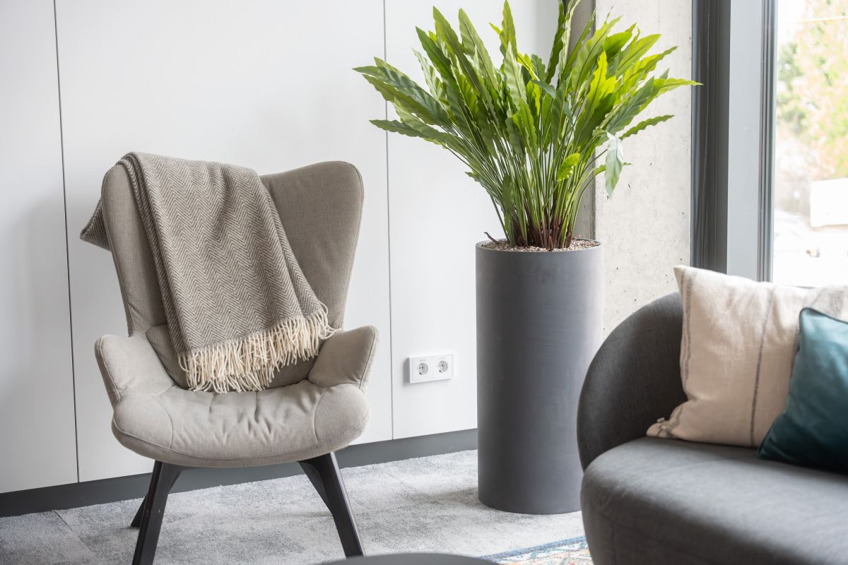 Gemütlicher Loungesessel  - Arbeiten und Netzwerken wie im Wohnzimmer